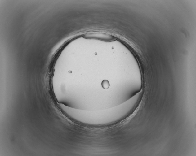 X0000113011502200909241341