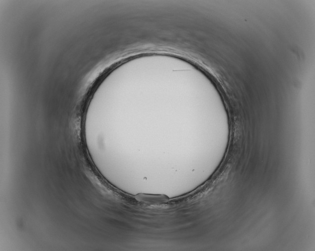 X0000113011503200909241341