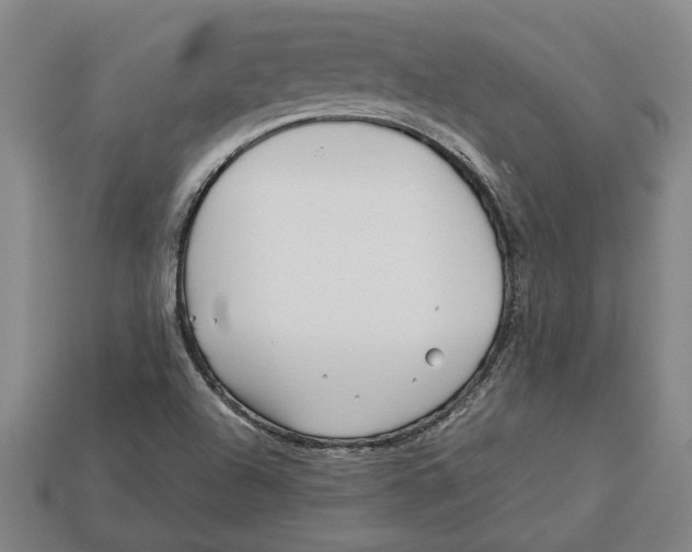 X0000113011504200909241341