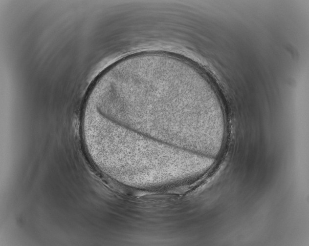 X0000113011505200909241341