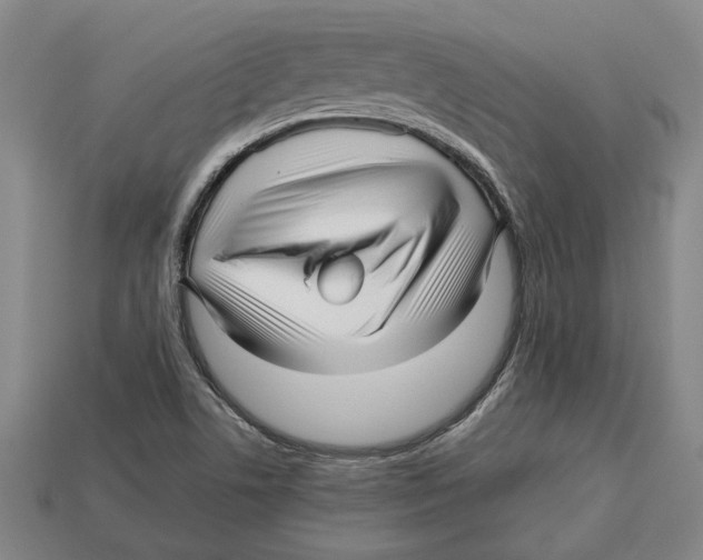 X0000113011506200909241341