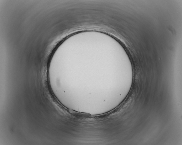 X0000113011507200909241341