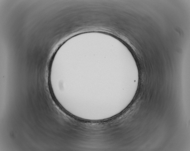 X0000113011508200909241341