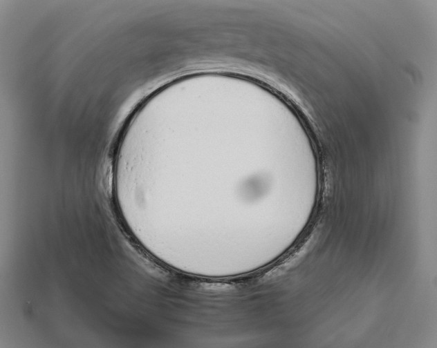 X0000113011509200909241341