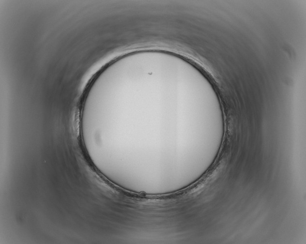 X0000113011510200909241341