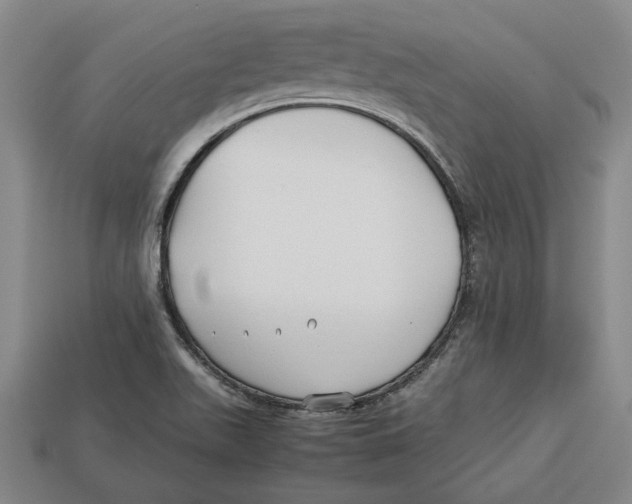 X0000113011511200909241341