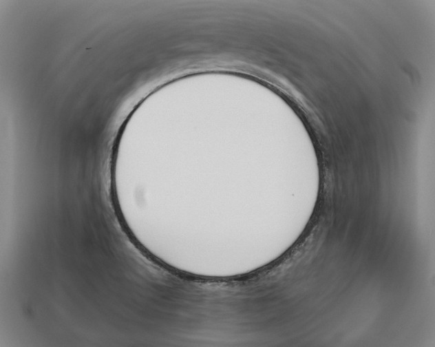 X0000113011512200909241341