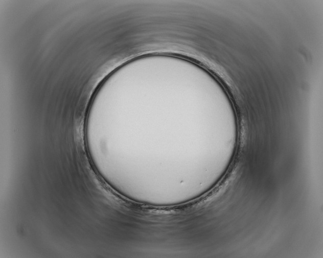 X0000113011513200909241341