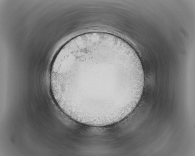 X0000113011514200909241341