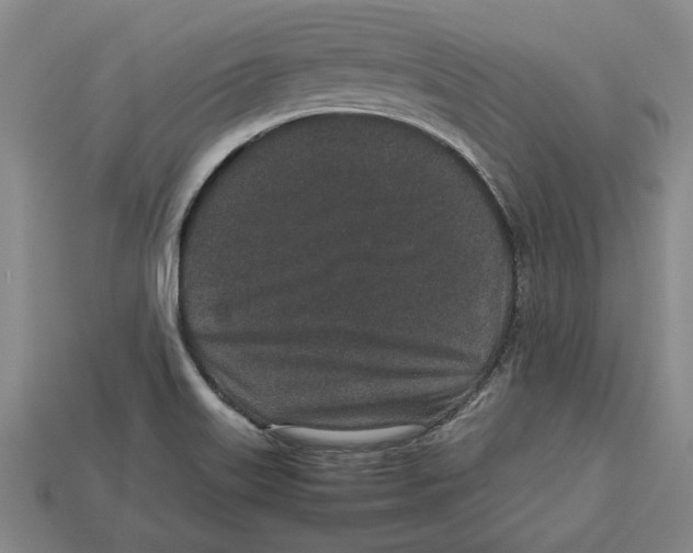 X0000113011515200909241341