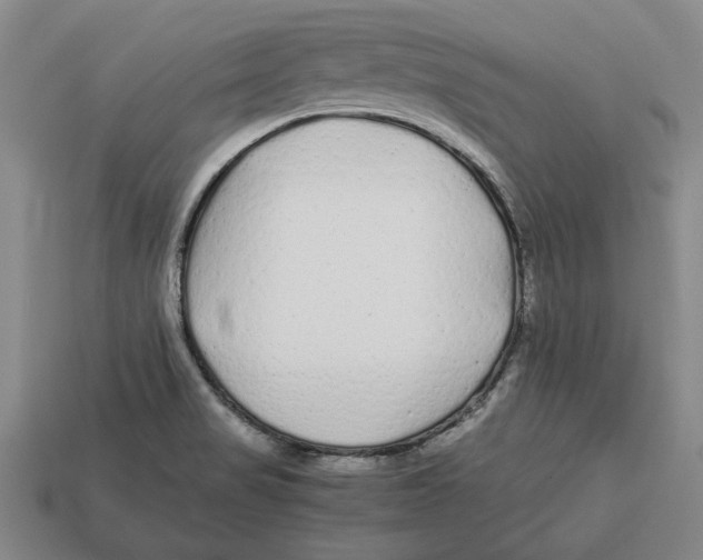 X0000113011517200909241341