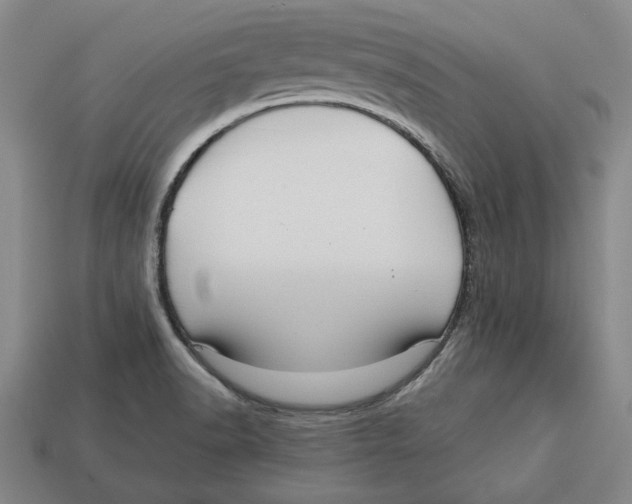 X0000113011518200909241341