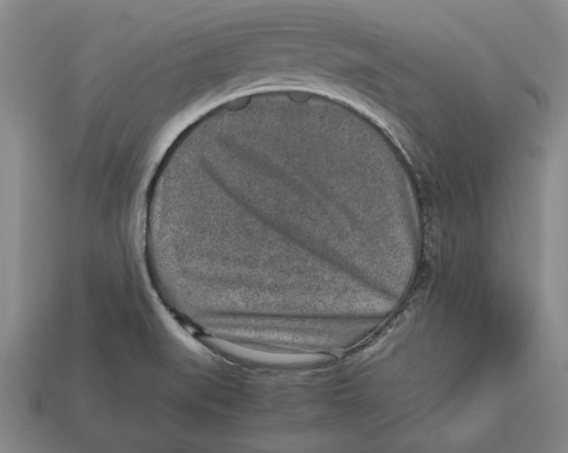 X0000113011519200909241341