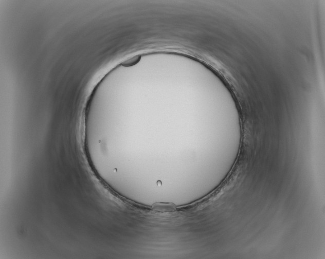 X0000113011520200909241341