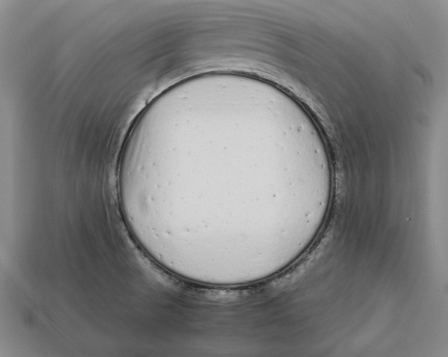 X0000113011521200909241341