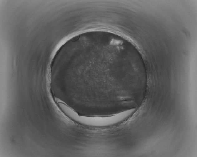 X0000113011522200909241341