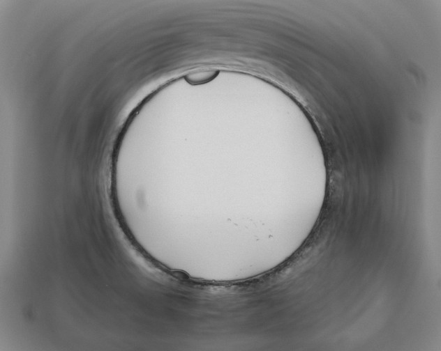 X0000113011523200909241341