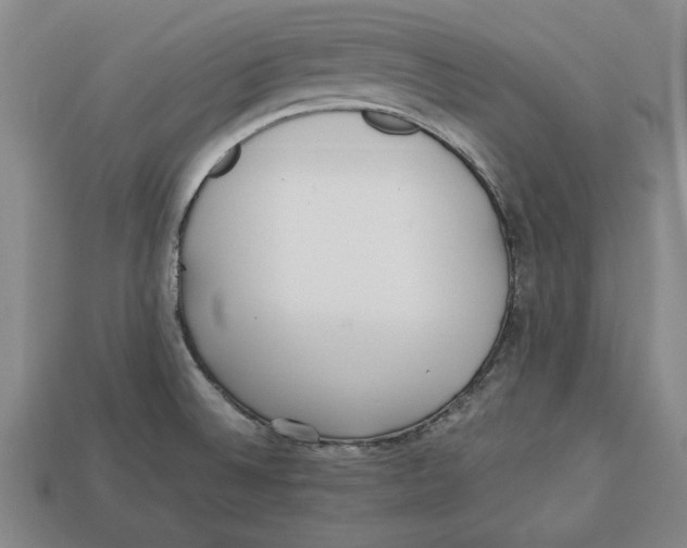 X0000113011524200909241341