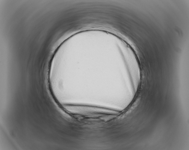 X0000113011525200909241341