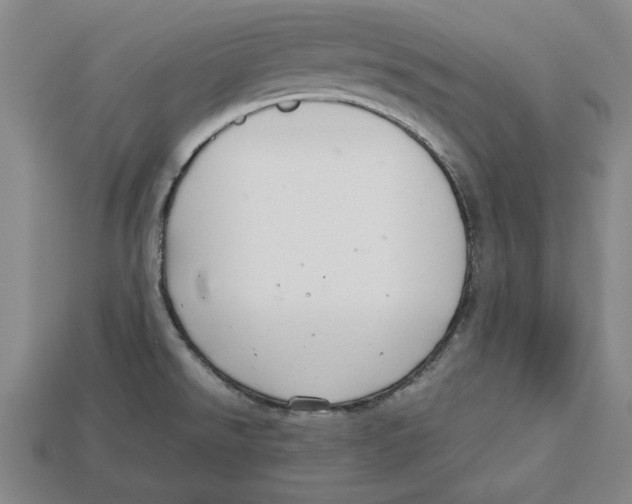 X0000113011526200909241341