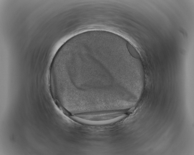 X0000113011527200909241341