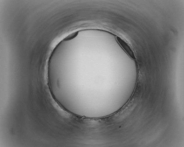 X0000113011528200909241341