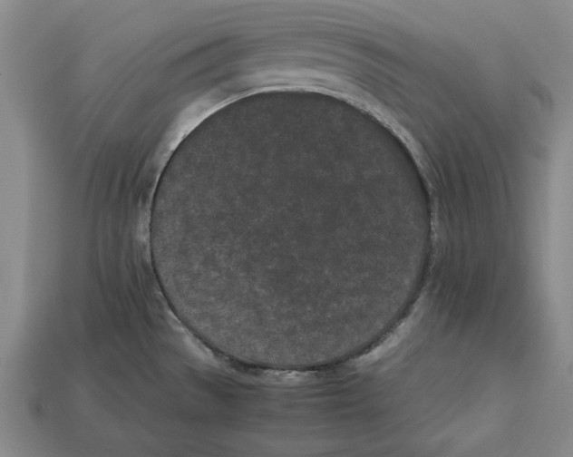 X0000113011529200909241341