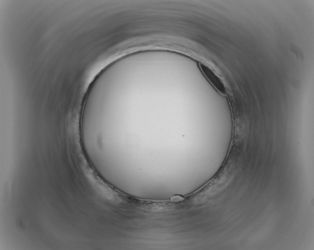 X0000113011530200909241341