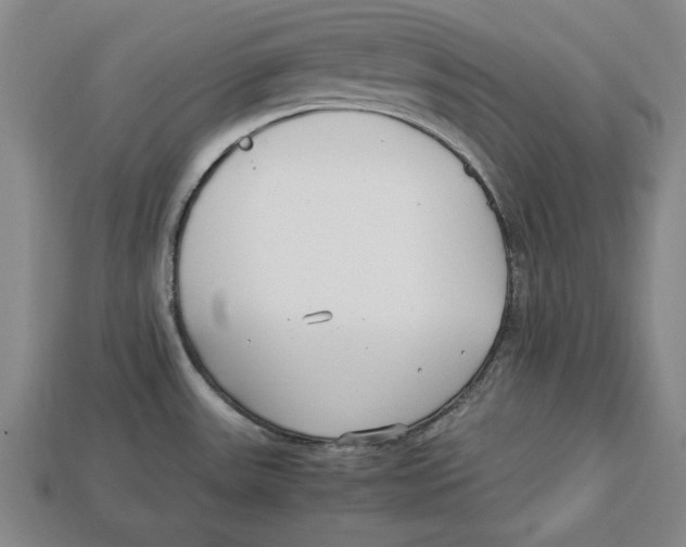 X0000113011531200909241341