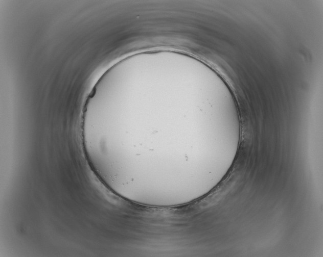 X0000113011532200909241341