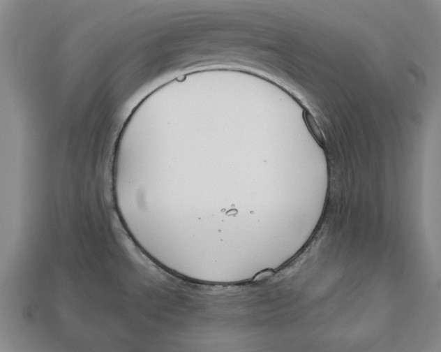 X0000113011534200909241341