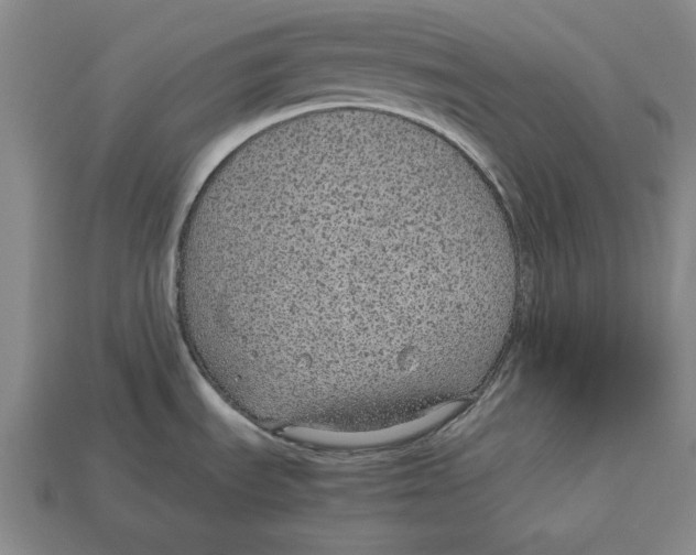 X0000113011535200909241341