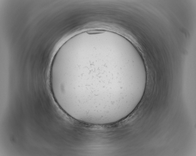 X0000113011536200909241341