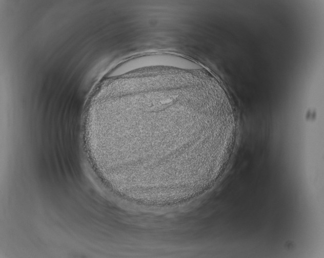 X0000113010002200910081233