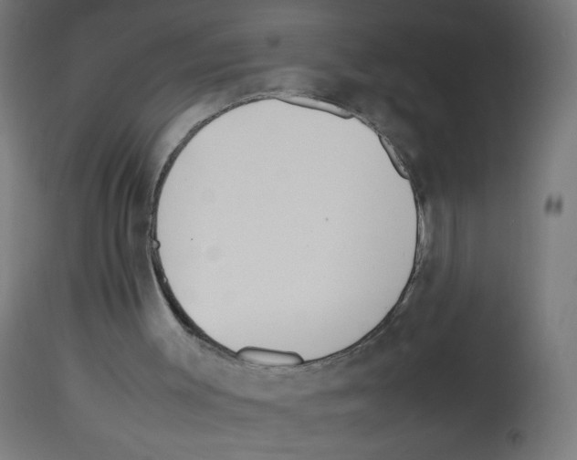 X0000113010003200910081233