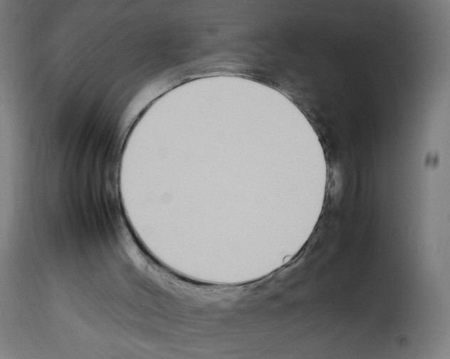 X0000113010004200910081233