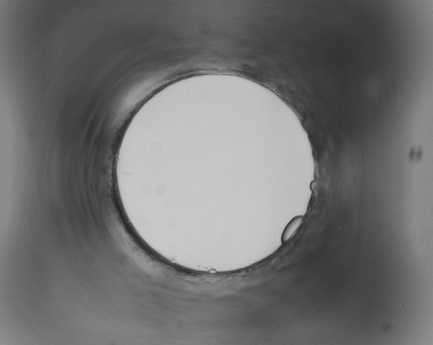 X0000113010005200910081233