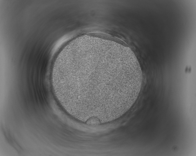 X0000113010006200910081233
