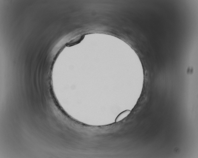 X0000113010007200910081233
