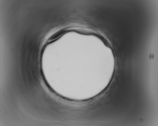 X0000113010008200910081233