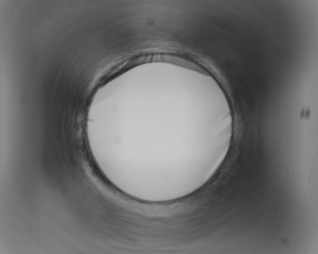 X0000113010010200910081233