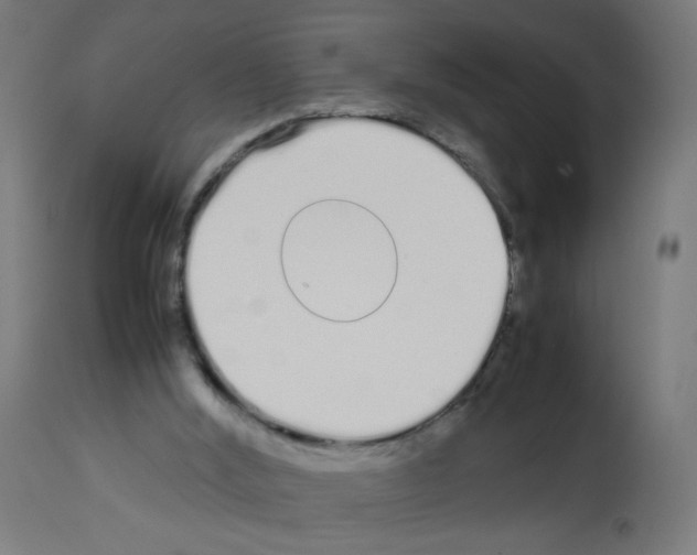 X0000113010012200910081233