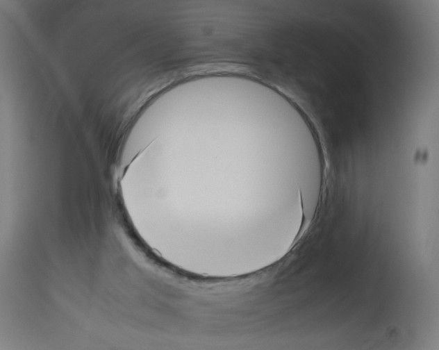 X0000113010013200910081233