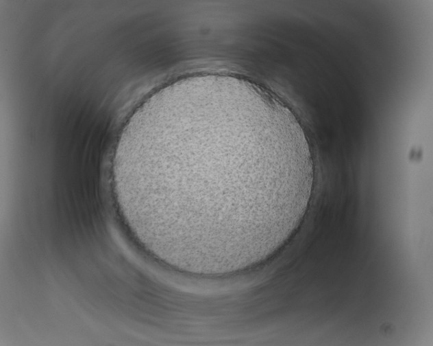 X0000113010014200910081233