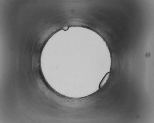X0000113010015200910081233