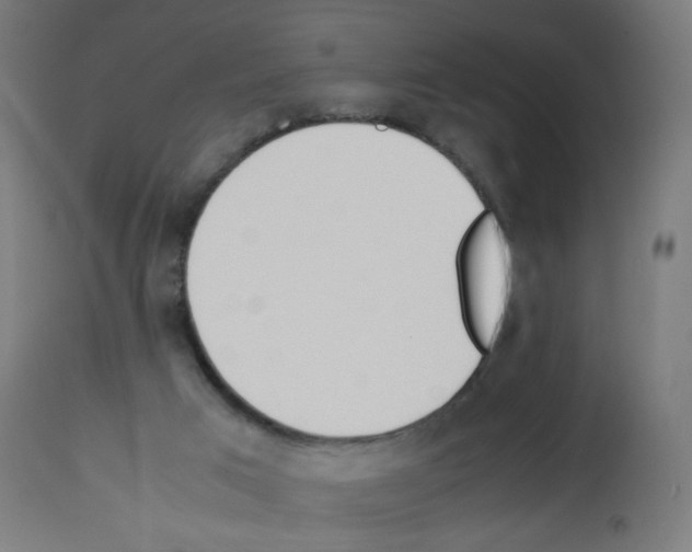 X0000113010017200910081233