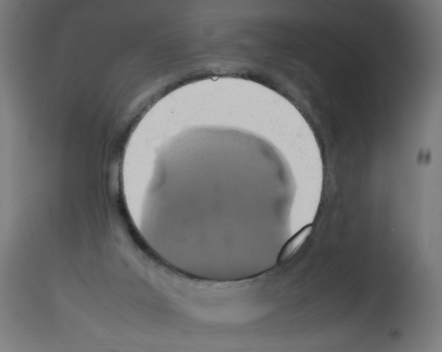 X0000113010019200910081233