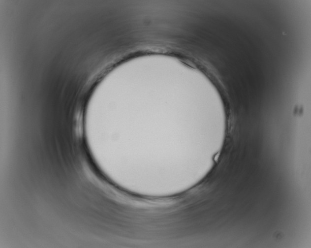 X0000113010020200910081233