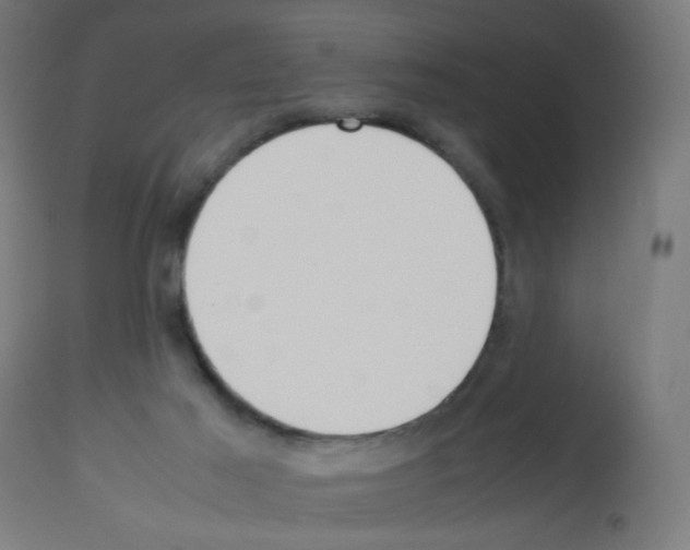 X0000113010021200910081233