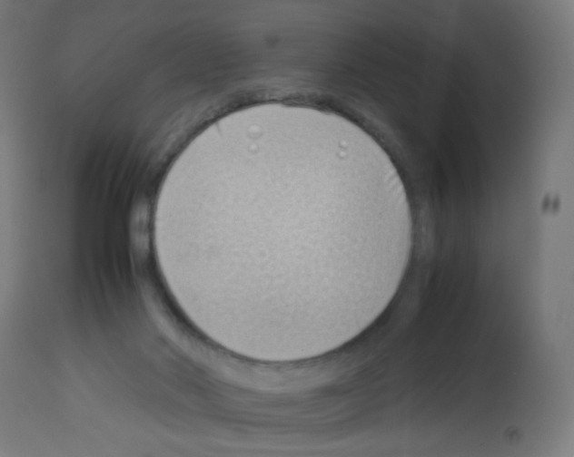 X0000113010022200910081233